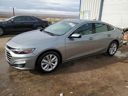 Salvage cars for sale at Albuquerque, NM auction: 2023 Chevrolet Malibu LT