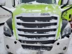 2020 Freightliner Cascadia 126