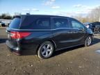 2020 Honda Odyssey EXL