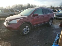 Salvage cars for sale at Chalfont, PA auction: 2010 Honda CR-V EXL