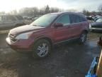 2010 Honda CR-V EXL