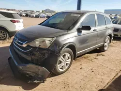 Salvage cars for sale at Phoenix, AZ auction: 2011 Honda CR-V EX