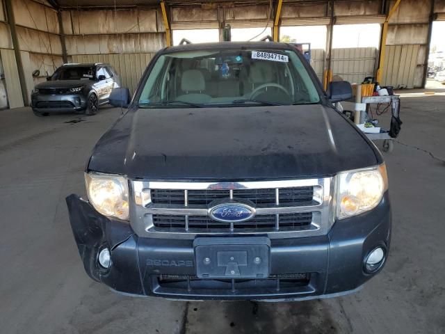 2008 Ford Escape XLT