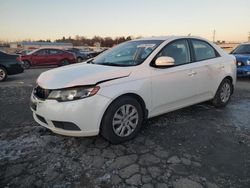 Salvage cars for sale from Copart Cleveland: 2011 KIA Forte EX