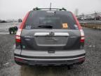 2010 Honda CR-V EXL