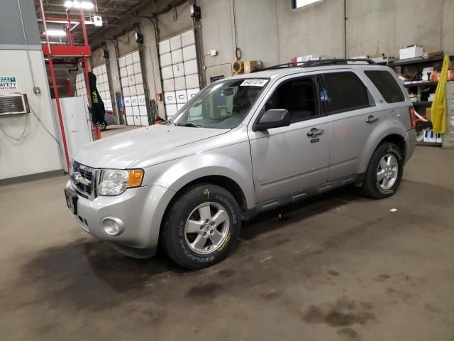 2009 Ford Escape XLT