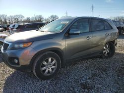 Salvage cars for sale at Columbus, OH auction: 2013 KIA Sorento LX