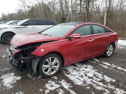 Vehiculos salvage en venta de Copart Cookstown, ON: 2013 Hyundai Sonata SE