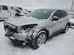 Salvage cars for sale at Elgin, IL auction: 2020 Ford Escape S