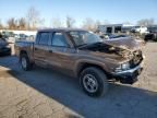 2000 Dodge Dakota Quattro