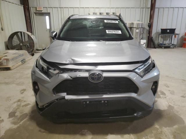 2023 Toyota Rav4 XLE Premium