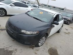 Salvage cars for sale at Kansas City, KS auction: 2013 KIA Forte EX