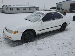 Salvage cars for sale from Copart Airway Heights, WA: 1996 Honda Accord LX