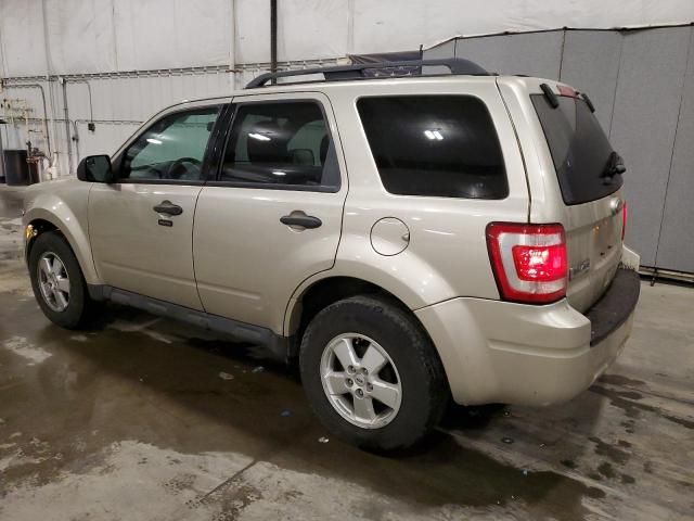 2012 Ford Escape XLT