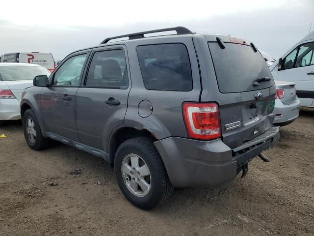 2012 Ford Escape XLT