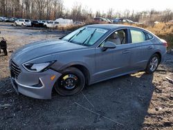 Salvage cars for sale at Baltimore, MD auction: 2021 Hyundai Sonata SE