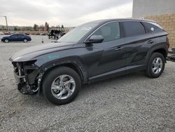 Salvage cars for sale at Mentone, CA auction: 2022 Hyundai Tucson SE