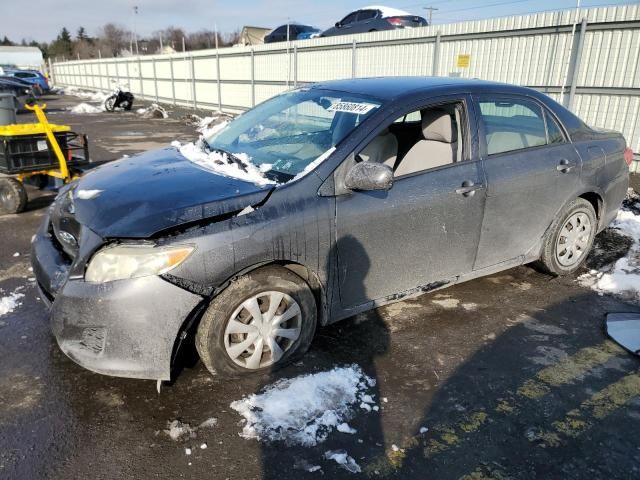 2010 Toyota Corolla Base