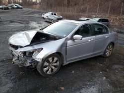 2010 Honda Accord EXL en venta en Marlboro, NY