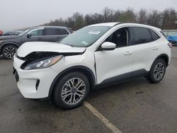 Salvage cars for sale at Brookhaven, NY auction: 2020 Ford Escape SEL