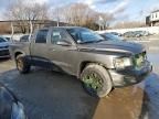 2010 Dodge Dakota SXT