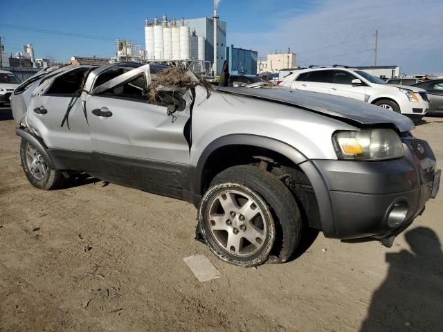 2005 Ford Escape XLT