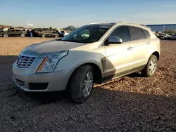 Salvage cars for sale at Phoenix, AZ auction: 2013 Cadillac SRX Luxury Collection