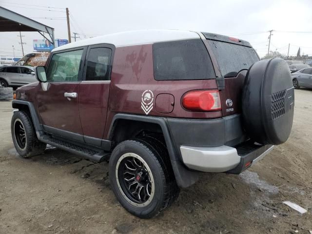 2007 Toyota FJ Cruiser