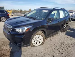 Subaru salvage cars for sale: 2019 Subaru Forester