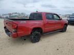 2019 Toyota Tacoma Double Cab