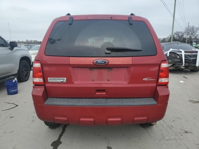 2010 Ford Escape XLT