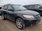 2009 Hyundai Santa FE SE