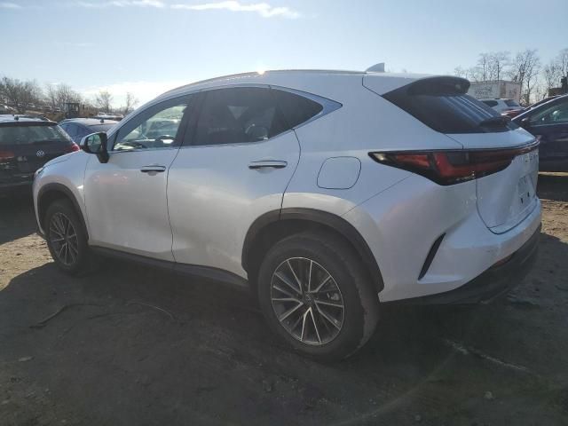 2022 Lexus NX 350