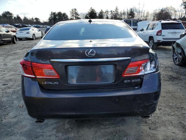 2010 Lexus ES 350