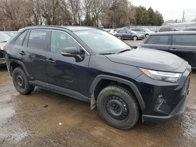 2024 Toyota Rav4 XLE