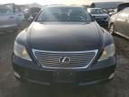 2007 Lexus LS 460