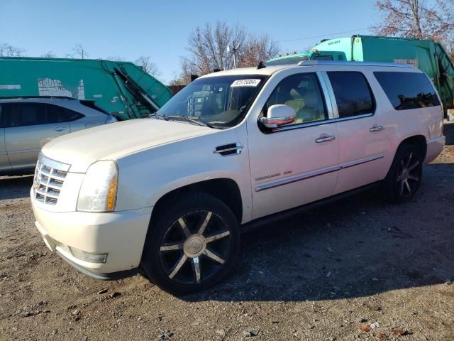 2010 Cadillac Escalade ESV Premium