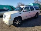 2010 Cadillac Escalade ESV Premium