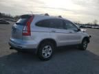 2010 Honda CR-V EXL