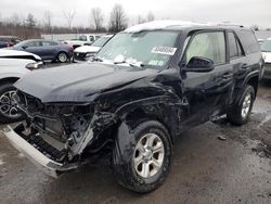 Toyota salvage cars for sale: 2015 Toyota 4runner SR5