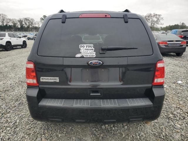 2010 Ford Escape XLT