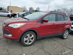 Salvage cars for sale at Moraine, OH auction: 2014 Ford Escape SE