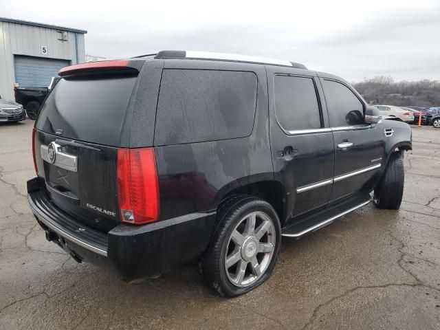 2010 Cadillac Escalade Luxury