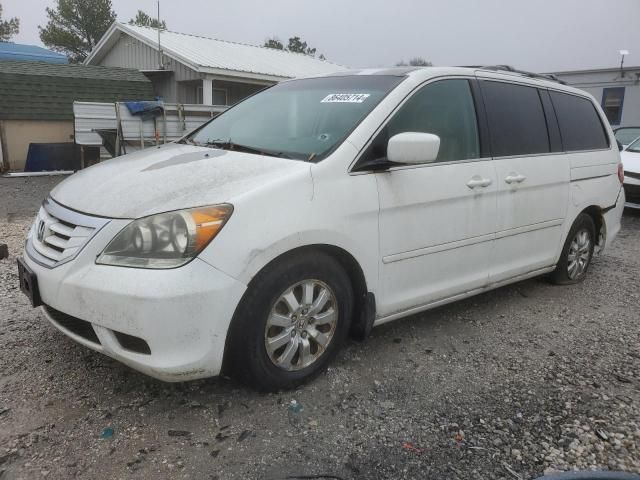 2010 Honda Odyssey EXL