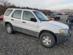 2007 Ford Escape XLS