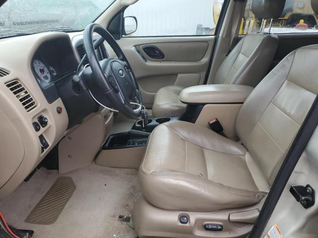 2004 Ford Escape Limited