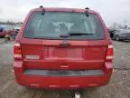 2011 Ford Escape XLS