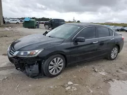 Salvage cars for sale at West Palm Beach, FL auction: 2014 Honda Accord EXL