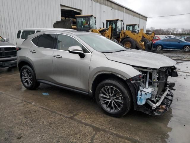 2023 Lexus NX 350H