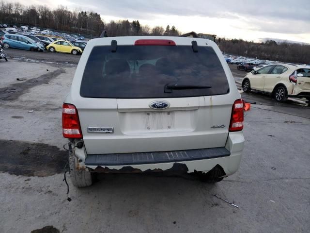 2008 Ford Escape XLT